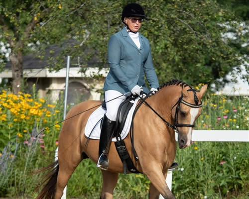 Eastern Wisconsin Chapter New Dressage
