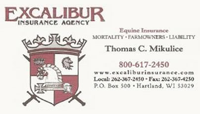 Excalibur Insurance Agency