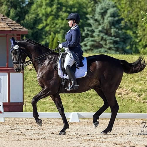 New Dressage Southern Chapter Information